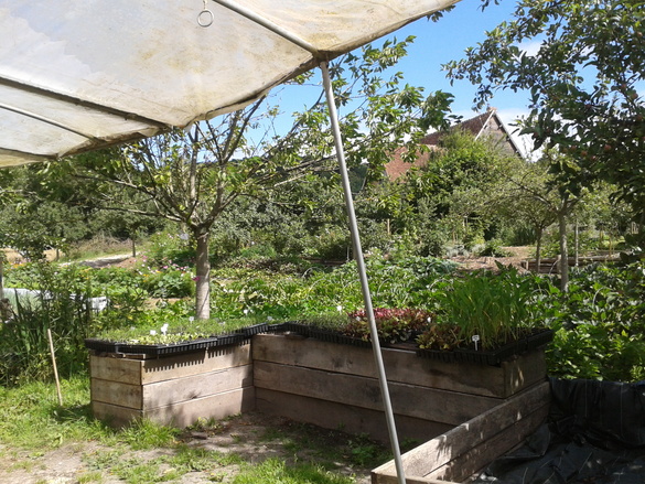 La Ferme du Bec Hellouin: la permaculture a de l'avenir!